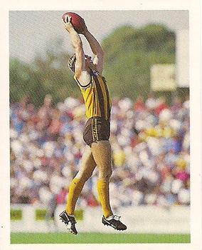 1993 Select AFL Stickers #145 Paul Hudson Front